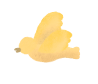 layer
